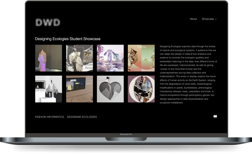 Designing Ecologies student showcase website prototype
